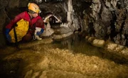 In den teils unerforschten Höhlensystemen unter Neuseeland machen die Forscher erstaunliche Entdeckungen ...