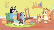 L-R: Bandit, Blucy, Bingo, Chilli