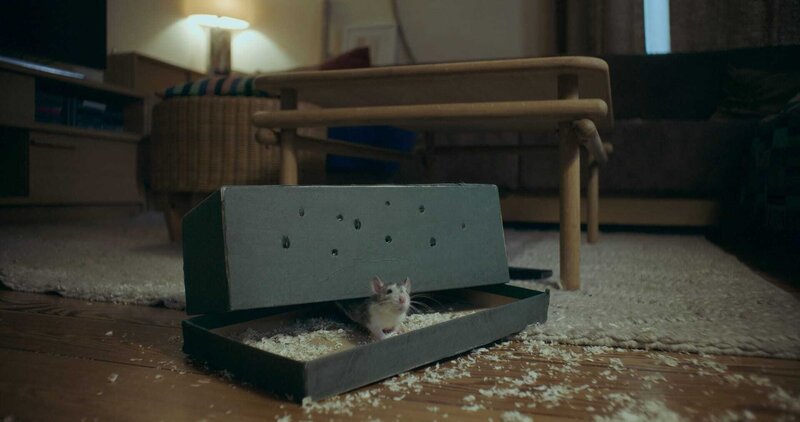 Der menschliche Faktor (D/I/DK, 2021)