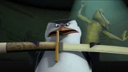 Skipper