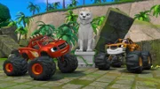 Blaze, AJ (oben), Tiger Statue (2.v.r.), Stripes (r.)