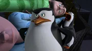 Skipper (vorne), Rico (r.)