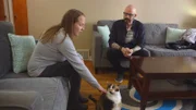 Jackson talking with guardian about the cat.