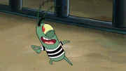 Plankton