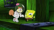 L-R: Sandy, SpongeBob