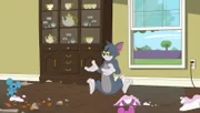 Tom