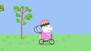 Suzy Sheep