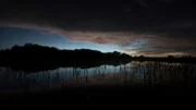 Dusk settles over the Everglades.