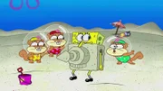 L-R: Hazelnut, Macadamia, SpongeBob, Pistachio