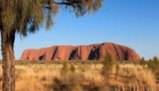 Der Uluru, früher Ayers Rock genannt, erscheint je nach Tageszeit und Lichteinfall in den unterschiedlichsten Farben.