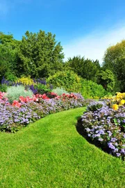 Garden, Flowers