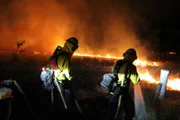 Feuerwehrleute führen außerhalb von Salinas, Kalifornien, eine Brandbekämpfung durch, um Häuser vor dem River Fire zu schützen.