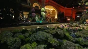 Nick Carter's aquarium for his Los Angeles home.