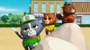 L-R: Cat Rocky, Cat Rubble, Cat Zuma