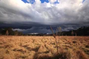Landschaftsbild – Blue Mountains in Australien. Hohes Gras und dunkle Wolken.