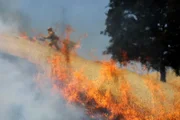 CAL FIRE führt in Williams, Kalifornien, ein fortgeschrittenes Live-Feuer-Training durch.