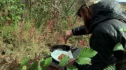 Outdoor cooking