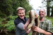 New Zealand - (L to R) Gordon Ramsay and eel fisherman, Jeremy, proudly hold their latest catch.