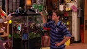 Freddie Benson (Nathan Kress)