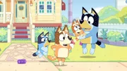 L-R: Bluey, Chilli, Bingo und Bandit