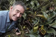Am Mount Victoria, in über 1600 m Höhe, findet Nigel Marven eine seltene Kannenpflanze: Nepenthes attenboroughii.