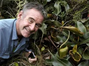 Am Mount Victoria, in über 1600 Metern Höhe, findet Nigel Marven eine seltene Kannenpflanze: Nepenthes attenboroughii.