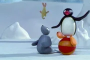 Guetnachtgschichtli
Pingu
Staffel 5
Folge 22
Pingu - Balanceakt
Pingu und Robby beim Balancieren.
SRF/Joker Inc., d.b.a., The Pygos Group