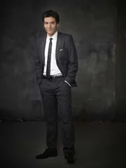 (7. Staffel) - Einblick in die Vergangenheit von Ted (Josh Radnor) und seinen Freunden ...