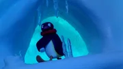 Guetnachtgschichtli  Pingu  Staffel 5  Folge 23  Pingu – Verirrt  Pingu in der Höhle.    Copyright: SRF/Joker Inc., d.b.a., The Pygos Group
