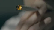 Cannabis ist eine Volksdroge, etwa fünf Millionen Deutsche kiffen regelmäßig.