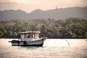 Ein Motorboot auf dem Rio Dulce in Guatemala.