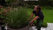 Maike, the landscape gardener maintains a 500 square meter lawn and all kinds of plants.