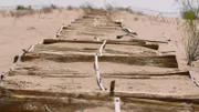 Konnte diese Straße nur aus Holz in der Wüste Arizonas überhaupt nutzbar sein oder war ihr Bau letztlich reine Zeitverschwendung?