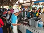 Fischmarkt in Manta/Ecuador. Dort sind Provisionmaster Frank Heym, Küchenchef Christian Jüngling und Küchenpraktikantin Jasmin gemeinsam unterwegs. (Protagonisten sind nicht im Bild).
