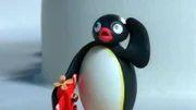 Guetnachtgschichtli Pingu Staffel 6 Folge 1 Pingu – Wer spricht da? Pingu hört etwas.  Copyright: SRF/Joker Inc., d.b.a., The Pygos Group