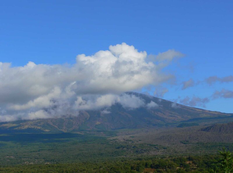 Pistazien - Siziliens grüne Diamanten (D, 2008)