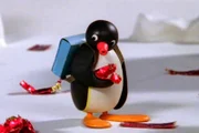 Guetnachtgschichtli Pingu Staffel 6 Folge 4 Pingu – Umweltverschmutzung Pingu wirft die Papiere auf den Boden.  Copyright: SRF/Joker Inc., d.b.a., The Pygos Group