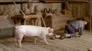 Michel (Jan Ohlsson) ist fleißig dabei, dem Schwein Kunststücke beizubringen.