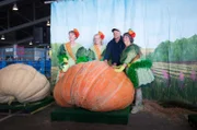 Gemüseanbauer Champion Dale Marshall mit seinem Riesenkürbis und den Kürbisfeen auf der Alaska State Fair, in Palmer.