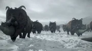 Ein globaler Winter nach einem Asteroideneinschlag setzte vor 65 Millionen Jahren das Artensterben der Dinosaurier in Gang. Wie Schützen wir uns vor einem Einschlag?
