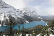 Der türkisblaue Peyto Lake im Banff Nationalpark - gesehen vom Aussichtspunkt "Bow Summit".
