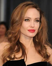 Angelina Jolie gehört zu den erfolgreichsten Schauspielerinnen Hollywoods. Sie vereint den Glamour der Traumfabrik und großes politisches Engagement.