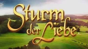 Logo der Serie "Sturm der Liebe"