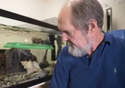Professor Roy Caldwell, Meeresbiologe, mit dem "Großen pazifischen gestreiften Oktopus".