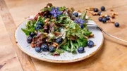 Die heutige Vorspeise: Gemischter Salat mit Blaubeeren und Dill. Eine mutige Kombination, die sich lohnt! (