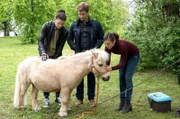 Tom Zondek (Tilman Pörzgen, l.), Mikko Rantala (Luan Gummich, M.) und Rebecca Krieger (Milena Straube, r.) versuchen das Pony "Anke" vor dem Einschläfern zu bewahren.