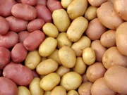 Die Kartoffeln, verschiedene Sorten