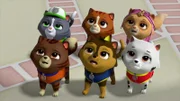 Hinter, l-r: Cat Rocky, Cat Rubble, Cat Sky. Vorne, l-r: Cat Zuma, Cat Chase, Cat Marshall
