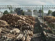 Hier landet das Holz aus dem Fichtelgebirge. Im Sägewerk werden die Baumstämme zugeschnitten. Hauptabnehmer ist die Baubranche.