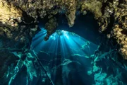 Am Eingang des Blue Holes "Sawmill Sink" (Bahamas) fällt noch Tageslicht in die Unterwasserhöhle.